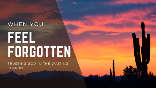 When You Feel Forgotten: Trusting God in the Waiting Season