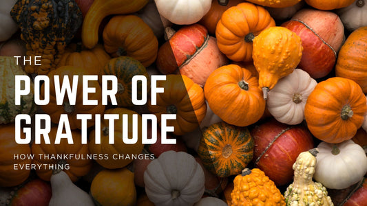 The Power of Gratitude: How Thankfulness Changes Everything