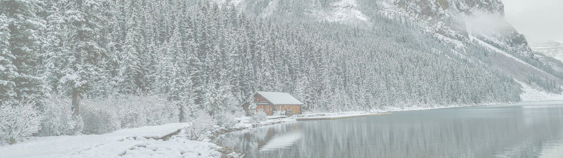 TRUST IN THE NEXT STEP - Proverbs 3:5-6