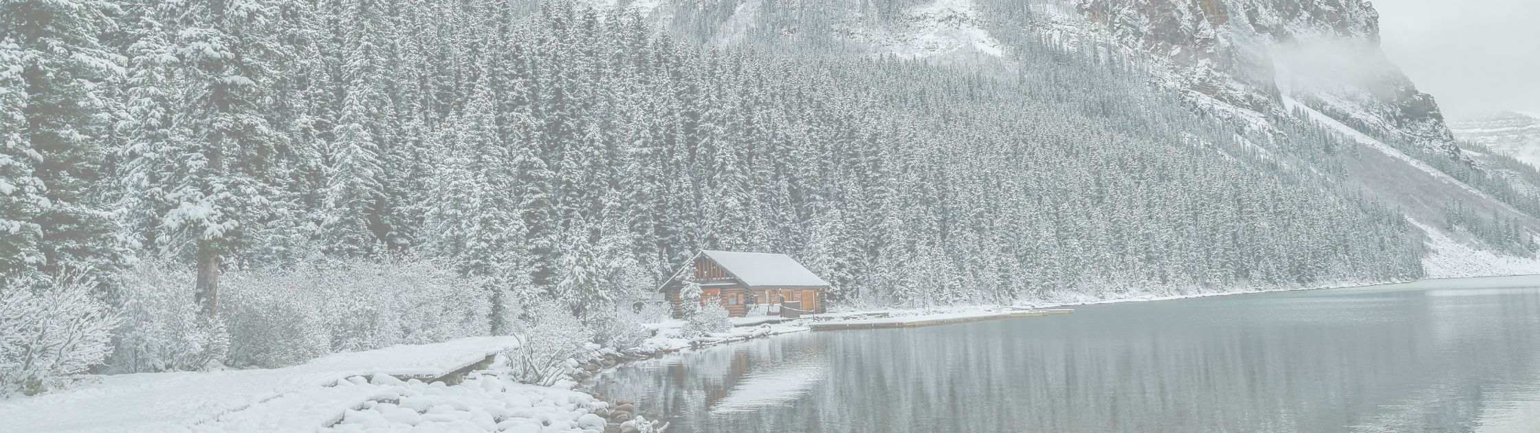 TRUST IN THE NEXT STEP - Proverbs 3:5-6