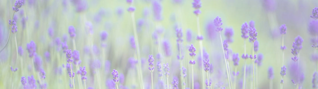 LOVE THAT REMAINS: 1 Corinthians 13:13