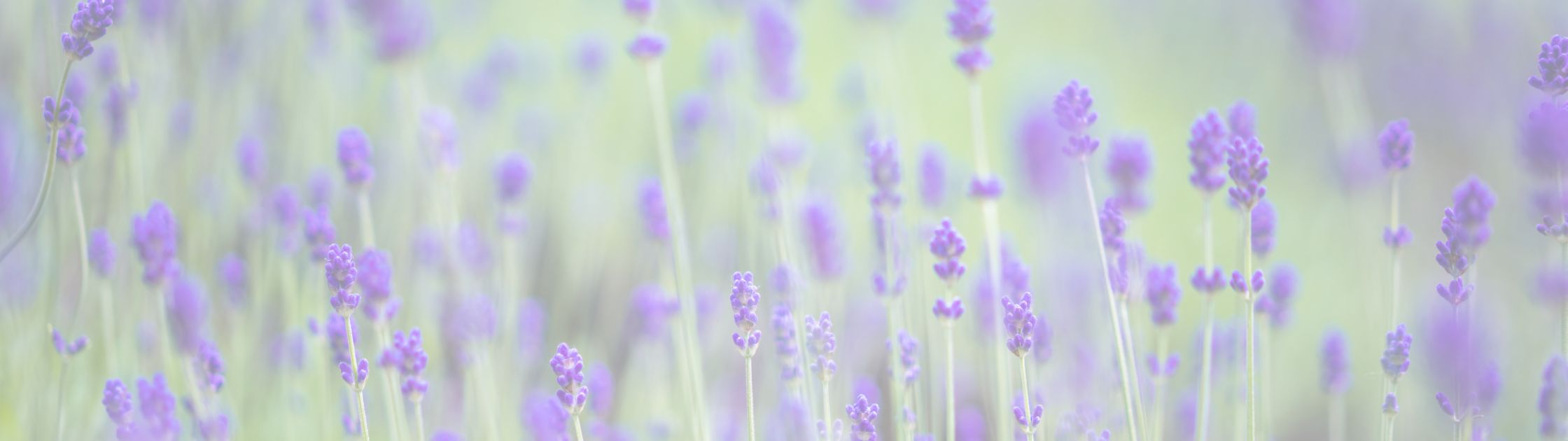 LOVE THAT REMAINS: 1 Corinthians 13:13