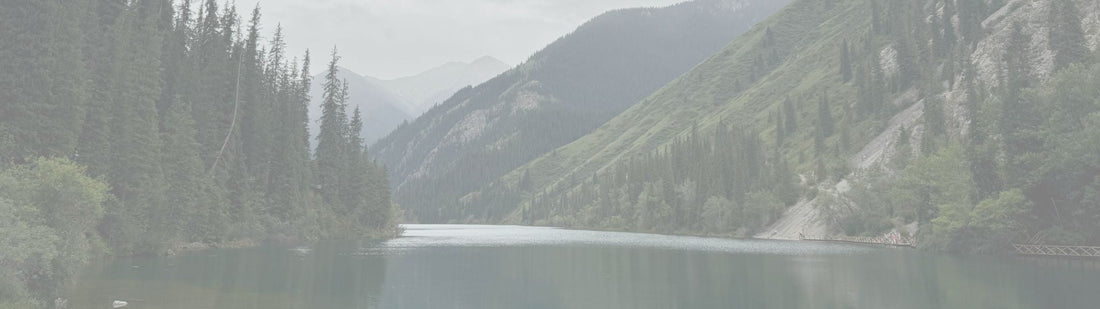 HELD IN THE UNKNOWN - Isaiah 41:10