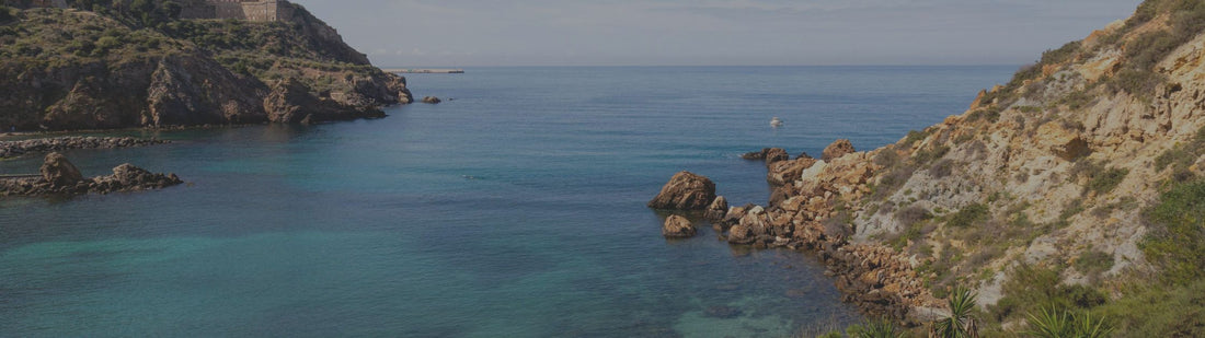 TRUSTING GOD WITH WHAT COMES NEXT: Jeremiah 29:11