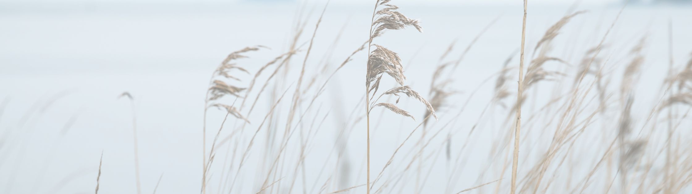 LOVED FIRST: 1 John 4:19