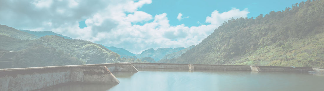 LOVE IN ACTION: Colossians 3:14