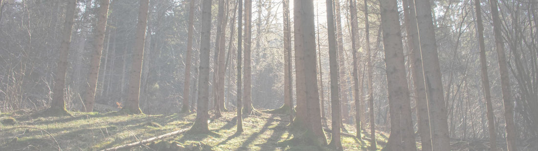 PERFECT LOVE, STEADY HEARTS: 1 John 4:18