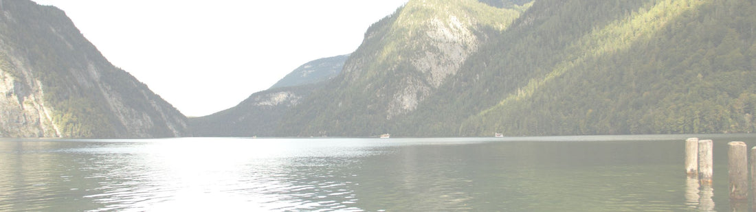 GUIDED STEP BY STEP: Psalm 119:105